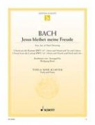 Jesu, Joy of Man's Desiring - Johann Sebastian Bach